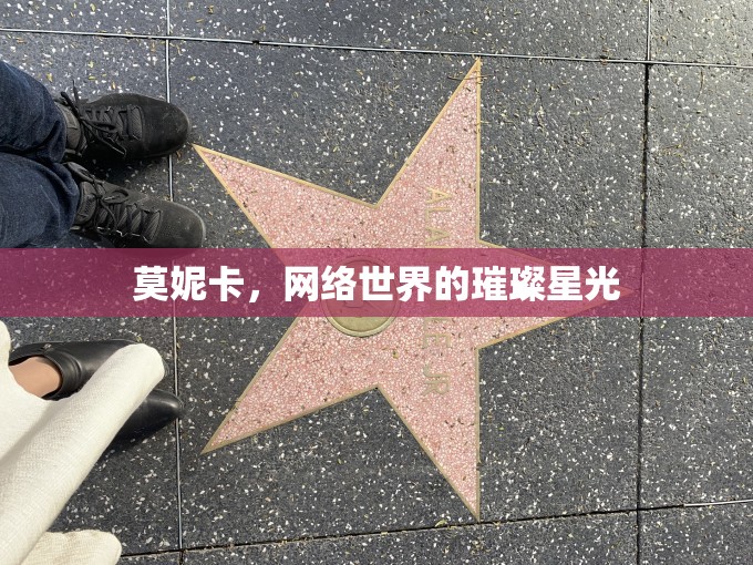 莫妮卡，網(wǎng)絡(luò)世界的璀璨星光
