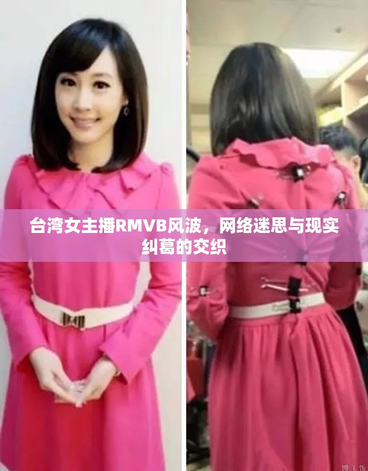 臺(tái)灣女主播RMVB風(fēng)波，網(wǎng)絡(luò)迷思與現(xiàn)實(shí)糾葛的交織