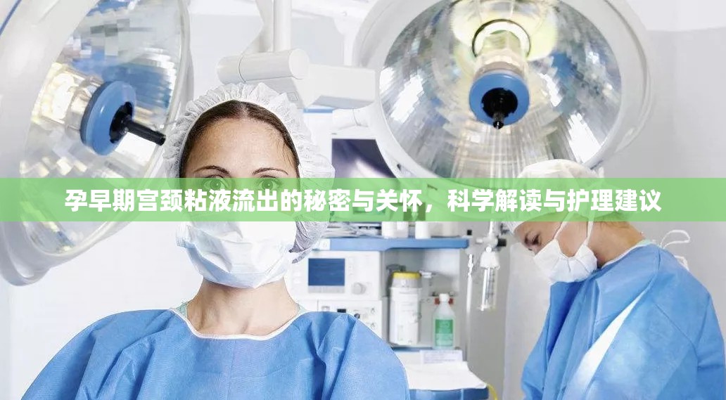 孕早期宮頸粘液流出的秘密與關(guān)懷，科學(xué)解讀與護(hù)理建議