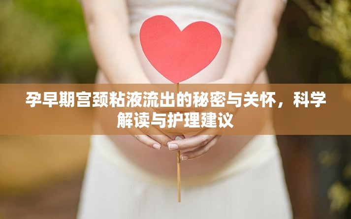 孕早期宮頸粘液流出的秘密與關(guān)懷，科學(xué)解讀與護(hù)理建議