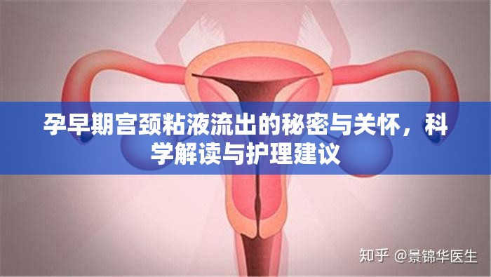 孕早期宮頸粘液流出的秘密與關(guān)懷，科學(xué)解讀與護(hù)理建議
