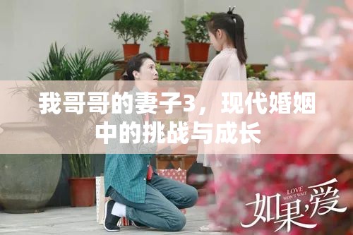 我哥哥的妻子3，現(xiàn)代婚姻中的挑戰(zhàn)與成長(zhǎng)