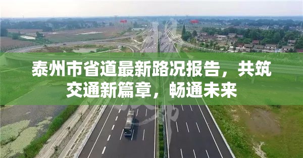 泰州市省道最新路況報(bào)告，共筑交通新篇章，暢通未來(lái)