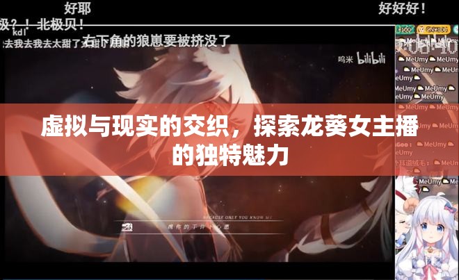 虛擬與現(xiàn)實(shí)的交織，探索龍葵女主播的獨(dú)特魅力