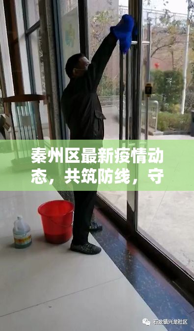 秦州區(qū)最新疫情動(dòng)態(tài)，共筑防線，守護(hù)美好家園