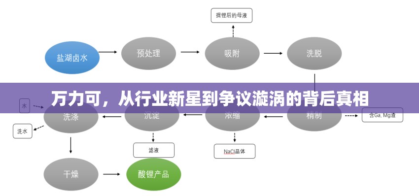 萬力可，從行業(yè)新星到爭(zhēng)議漩渦的背后真相