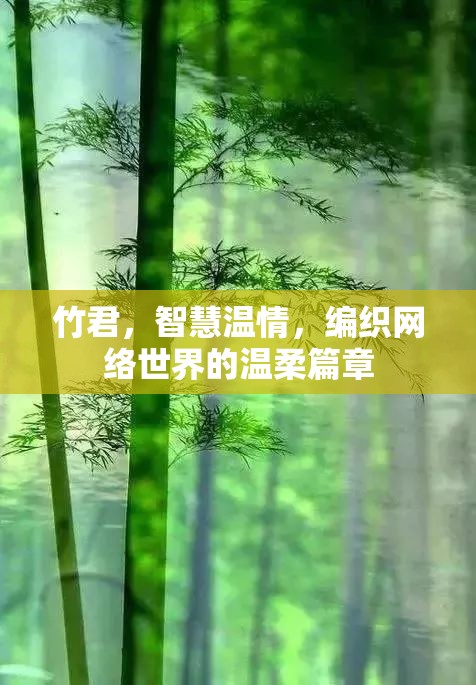 竹君，智慧溫情，編織網(wǎng)絡(luò)世界的溫柔篇章
