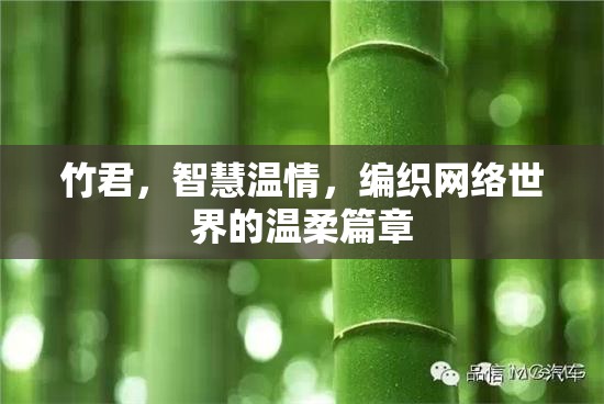 竹君，智慧溫情，編織網(wǎng)絡(luò)世界的溫柔篇章
