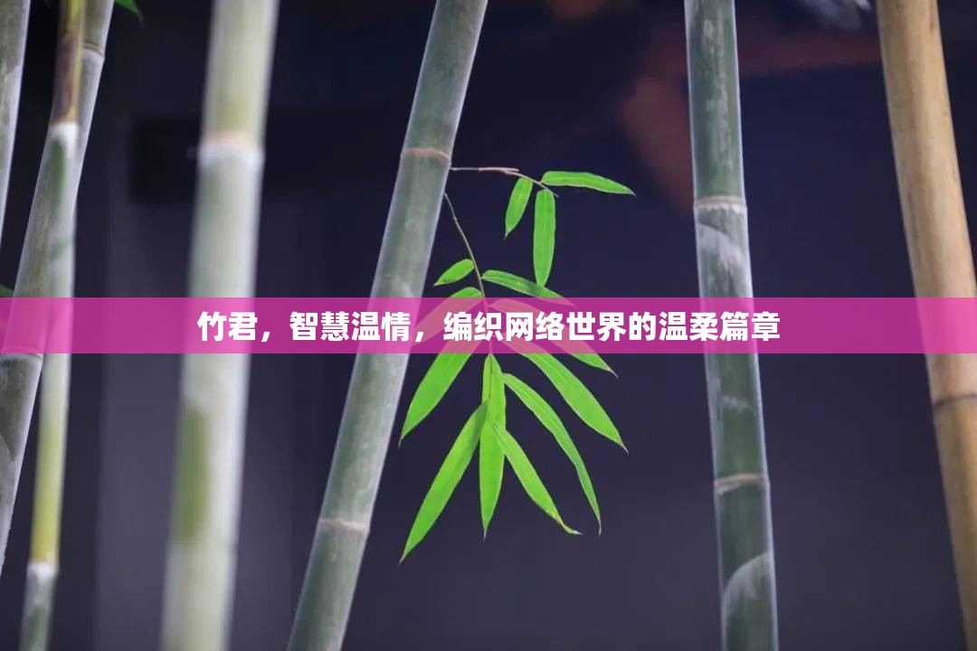 竹君，智慧溫情，編織網(wǎng)絡(luò)世界的溫柔篇章