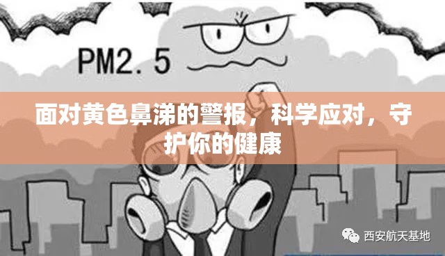 面對黃色鼻涕的警報，科學應對，守護你的健康