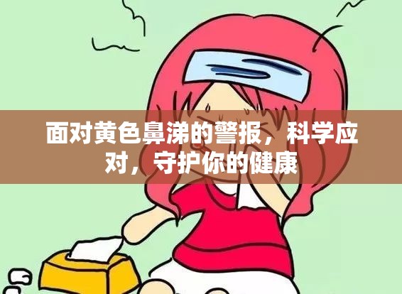 面對黃色鼻涕的警報，科學應對，守護你的健康