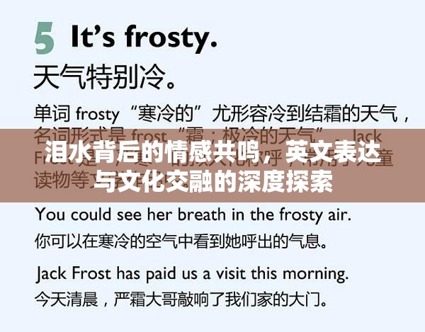 淚水背后的情感共鳴，英文表達(dá)與文化交融的深度探索