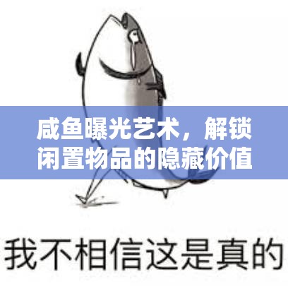 咸魚曝光藝術(shù)，解鎖閑置物品的隱藏價值