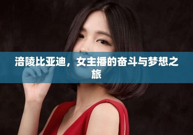 涪陵比亞迪，女主播的奮斗與夢(mèng)想之旅