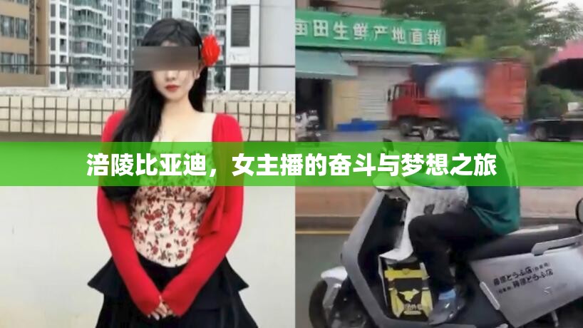 涪陵比亞迪，女主播的奮斗與夢(mèng)想之旅