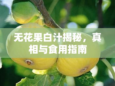 無花果白汁揭秘，真相與食用指南