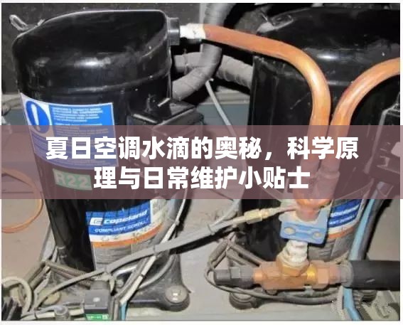 夏日空調(diào)水滴的奧秘，科學原理與日常維護小貼士