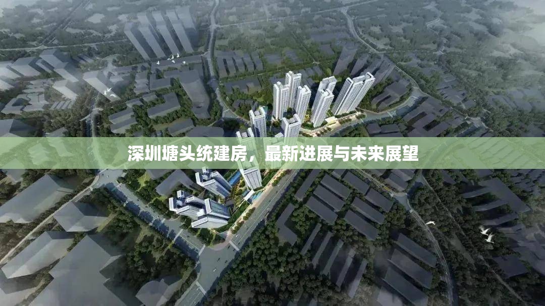 深圳塘頭統(tǒng)建房，最新進(jìn)展與未來(lái)展望