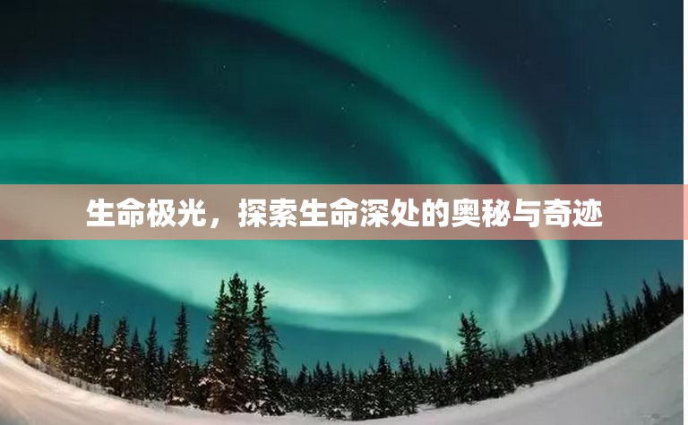 生命極光，探索生命深處的奧秘與奇跡
