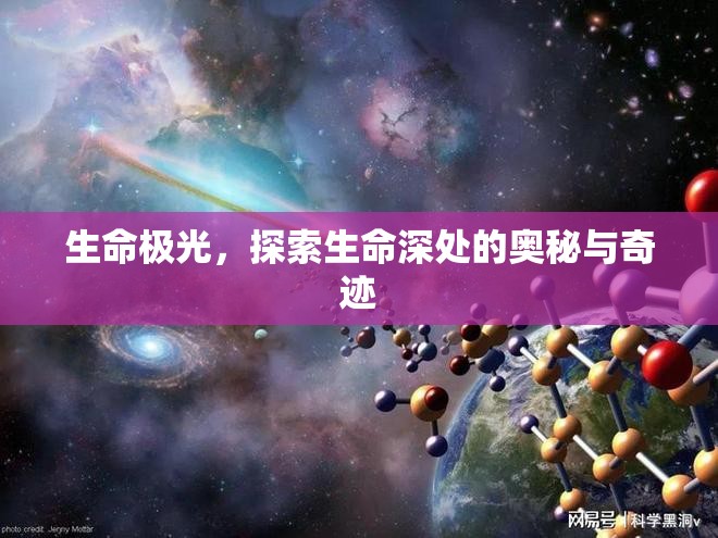 生命極光，探索生命深處的奧秘與奇跡