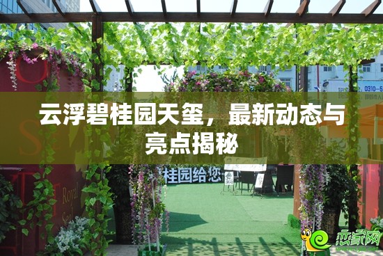 云浮碧桂園天璽，最新動(dòng)態(tài)與亮點(diǎn)揭秘