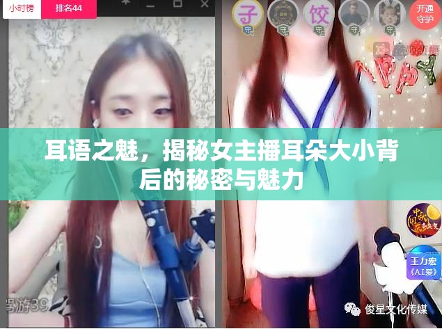 耳語(yǔ)之魅，揭秘女主播耳朵大小背后的秘密與魅力