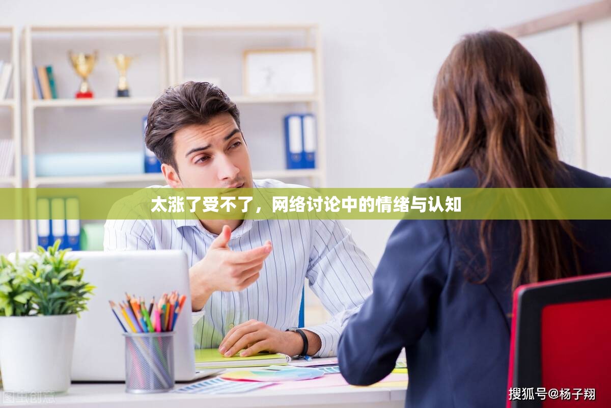 太漲了受不了，網(wǎng)絡(luò)討論中的情緒與認(rèn)知