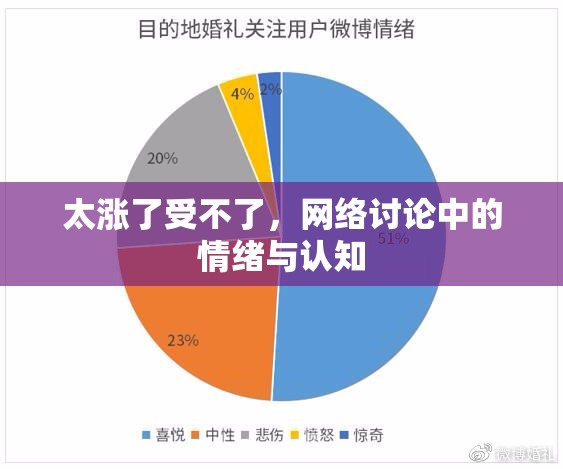 太漲了受不了，網(wǎng)絡(luò)討論中的情緒與認(rèn)知