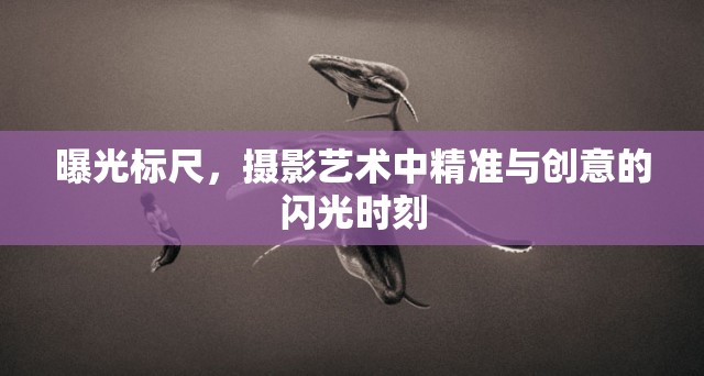 曝光標(biāo)尺，攝影藝術(shù)中精準(zhǔn)與創(chuàng)意的閃光時(shí)刻