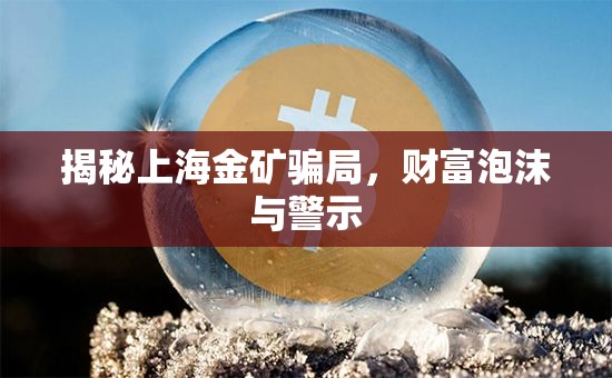 揭秘上海金礦騙局，財富泡沫與警示
