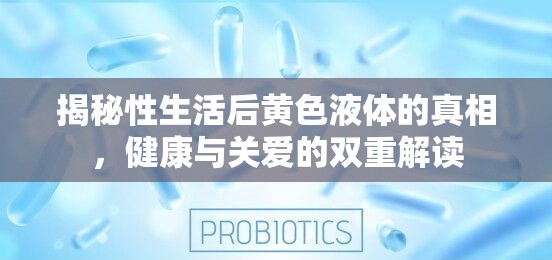 揭秘性生活后黃色液體的真相，健康與關(guān)愛的雙重解讀