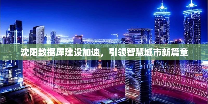 沈陽(yáng)數(shù)據(jù)庫(kù)建設(shè)加速，引領(lǐng)智慧城市新篇章