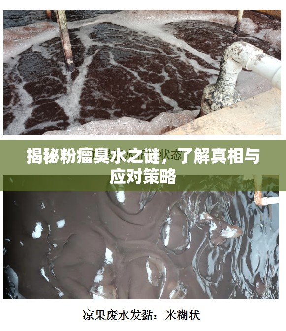 揭秘粉瘤臭水之謎，了解真相與應對策略