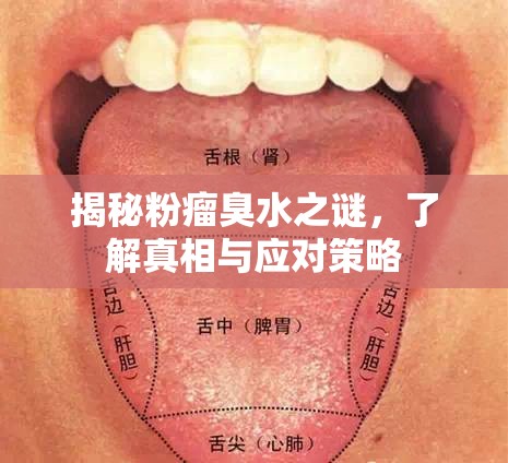揭秘粉瘤臭水之謎，了解真相與應對策略