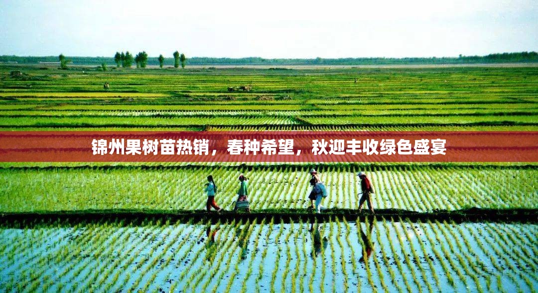 錦州果樹苗熱銷，春種希望，秋迎豐收綠色盛宴