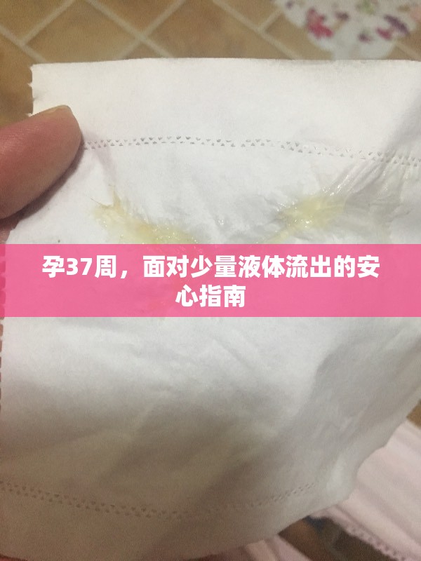 孕37周，面對(duì)少量液體流出的安心指南