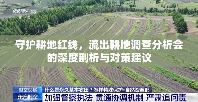 守護耕地紅線，流出耕地調(diào)查分析會的深度剖析與對策建議