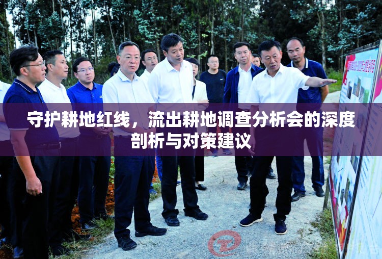 守護耕地紅線，流出耕地調(diào)查分析會的深度剖析與對策建議