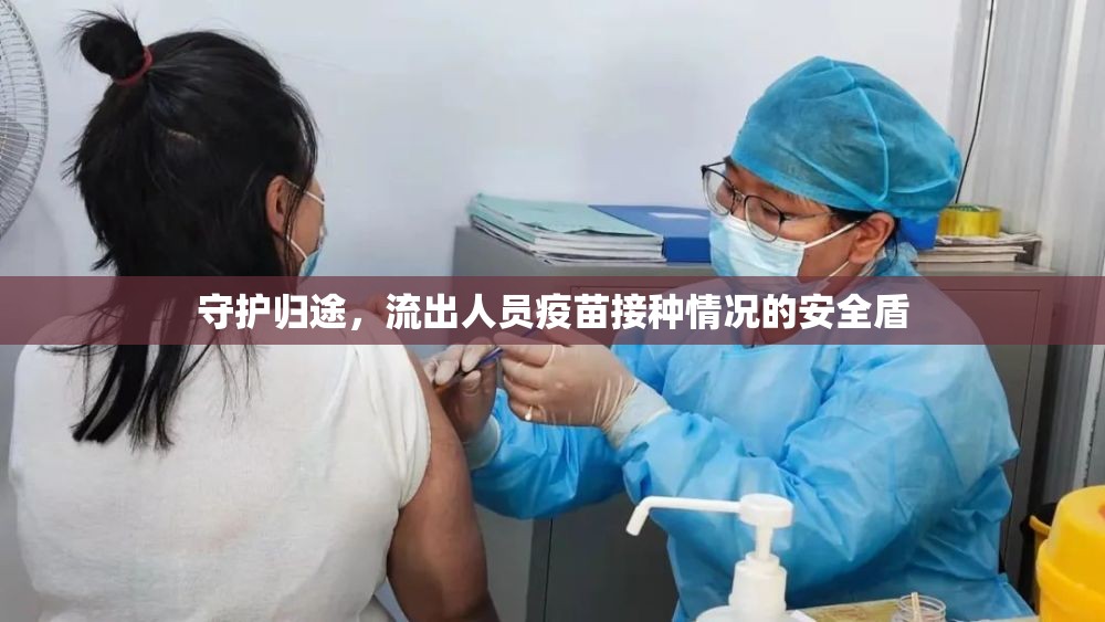 守護(hù)歸途，流出人員疫苗接種情況的安全盾