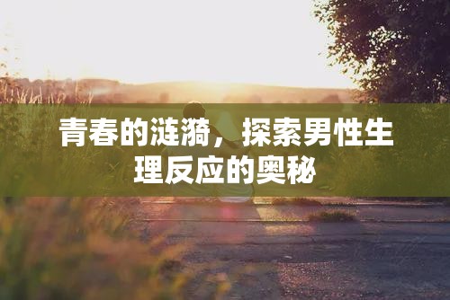青春的漣漪，探索男性生理反應(yīng)的奧秘