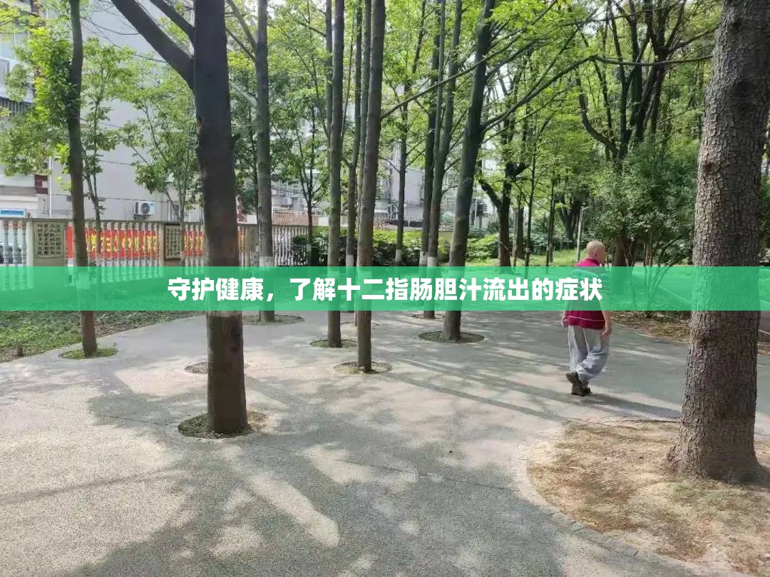 守護(hù)健康，了解十二指腸膽汁流出的癥狀