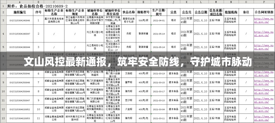 文山風控最新通報，筑牢安全防線，守護城市脈動