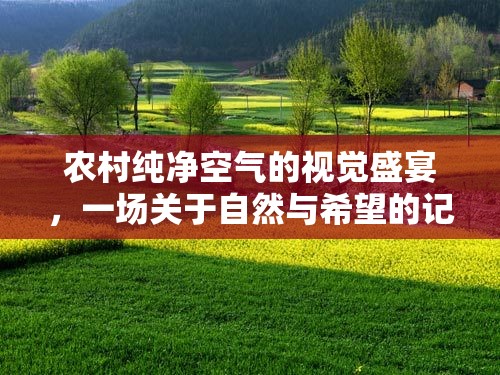 農(nóng)村純凈空氣的視覺盛宴，一場關(guān)于自然與希望的記錄