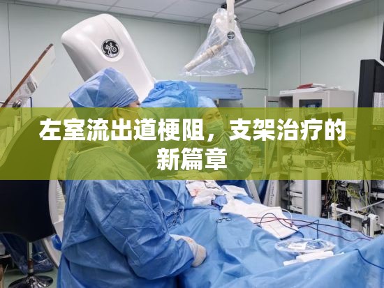 左室流出道梗阻，支架治療的新篇章