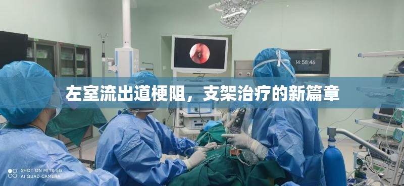左室流出道梗阻，支架治療的新篇章