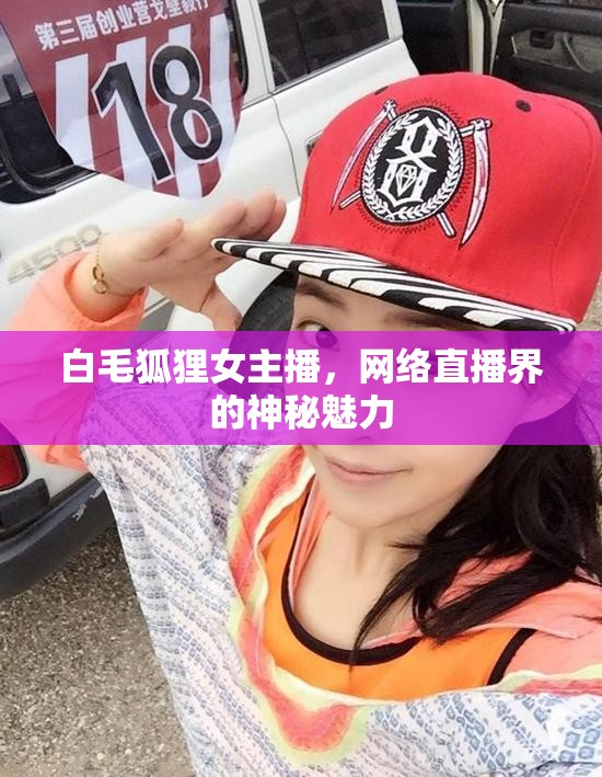 白毛狐貍女主播，網(wǎng)絡(luò)直播界的神秘魅力