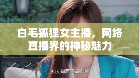白毛狐貍女主播，網(wǎng)絡(luò)直播界的神秘魅力