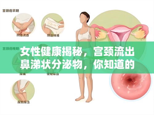 女性健康揭秘，宮頸流出鼻涕狀分泌物，你知道的真相