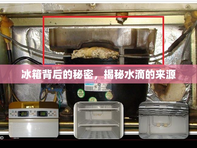 冰箱背后的秘密，揭秘水滴的來源