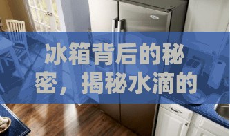 冰箱背后的秘密，揭秘水滴的來源